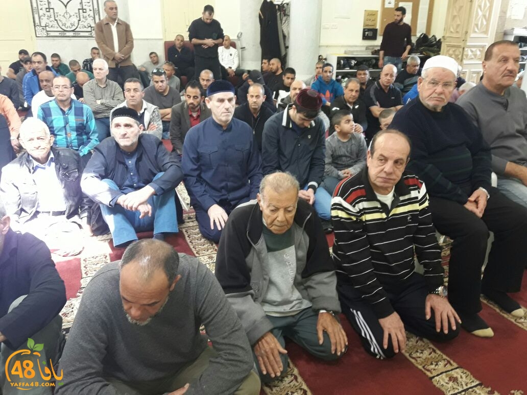 msjaed yaffa  (4).jpg